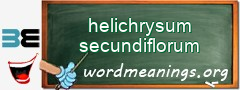 WordMeaning blackboard for helichrysum secundiflorum